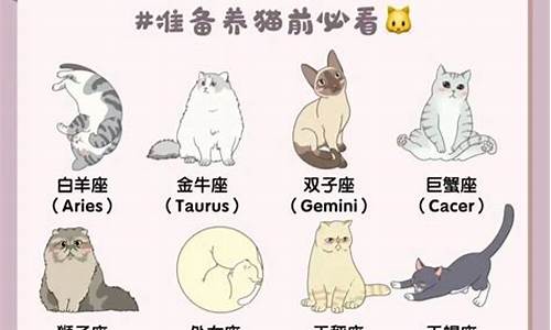 十二星座适合养的猫_十二星座适合养的猫咪