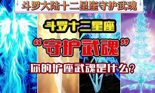 十二星座武魂九大魂技_十二星座武魂