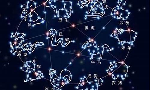 十二星座符号长什么样子_十二星座 符号